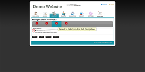 Individual Sub Navigation Tab 