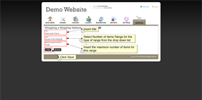 C4. Number of Items Range