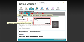Different text editors on webpage