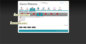 Manually Verify Email