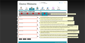 Option in the Search Engine Tab