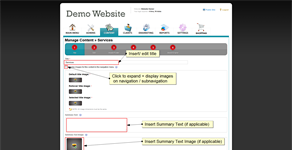 Options in Title tab