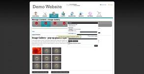 Manually Verify Email