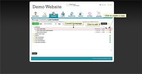 Manually Verify Email