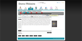 Select the Facebook icon in Rich Text Editor